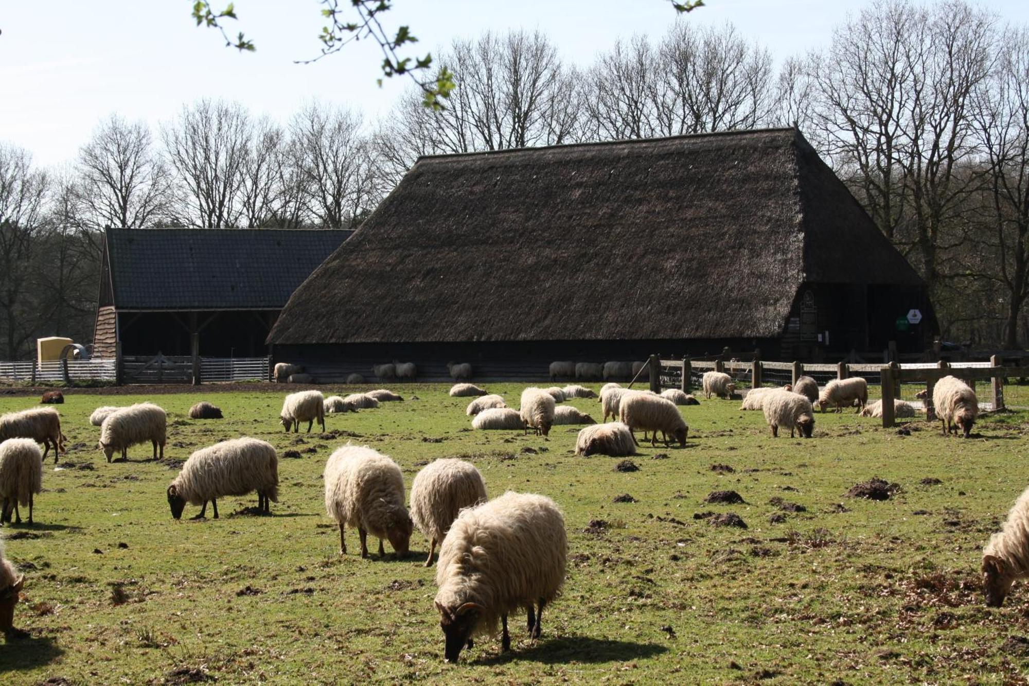 Herberg De Roskam Uffelte Luaran gambar